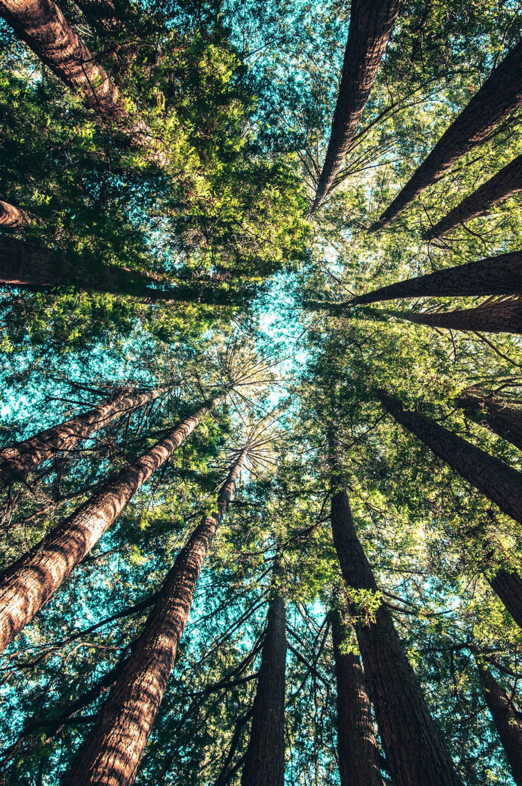 casey-horner-487085-unsplash-e1546424618328.jpg